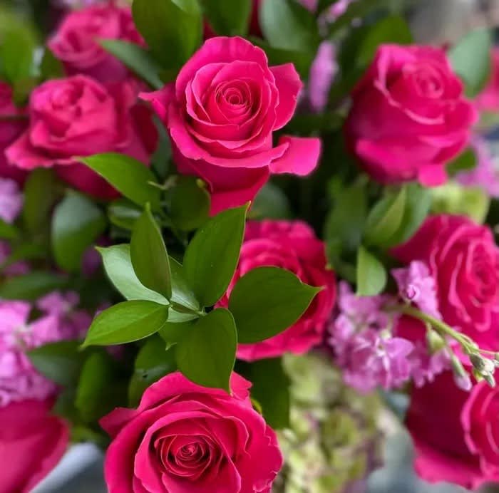 Hot Lady - Hot Pink roses for that special someone