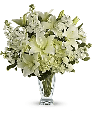 Teleflora's Purest Love Bouquet  - Pure love deserves the pure luxury of this wondrous white bouquet. Fragrant lilies, lush hydrangea and delicate alstroemeria are carefully arranged in our Couture vase for an elegant look they will adore. This snow-white bouquet includes hydrangea, asiatic lilies, alstroemeria, miniature carnations, stock and fresh green pittosporum. Delivered in Teleflora's Couture vase. Orientation: All-Around 