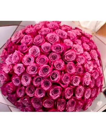 100 Wrap Of pink Roses - Wrap of roses
