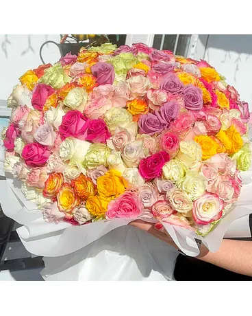 100 Wrap of roses - 100 roses 