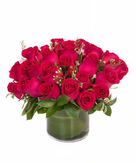 36 Roses Red Compact arranged in a vase. - 36 Red Roses Compact arranged in a vase.
