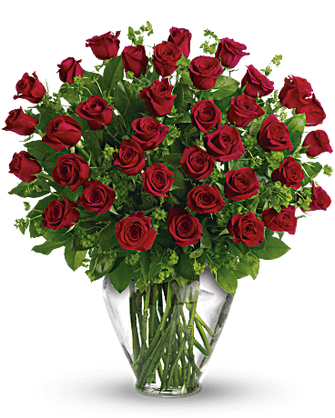 36 Roses Red long stem arranged in a glass vase - 36 Red Roses Long Stem arranged in a glass vase. The length of the roses are longer and taller for Deluxe and even more for Premium.  