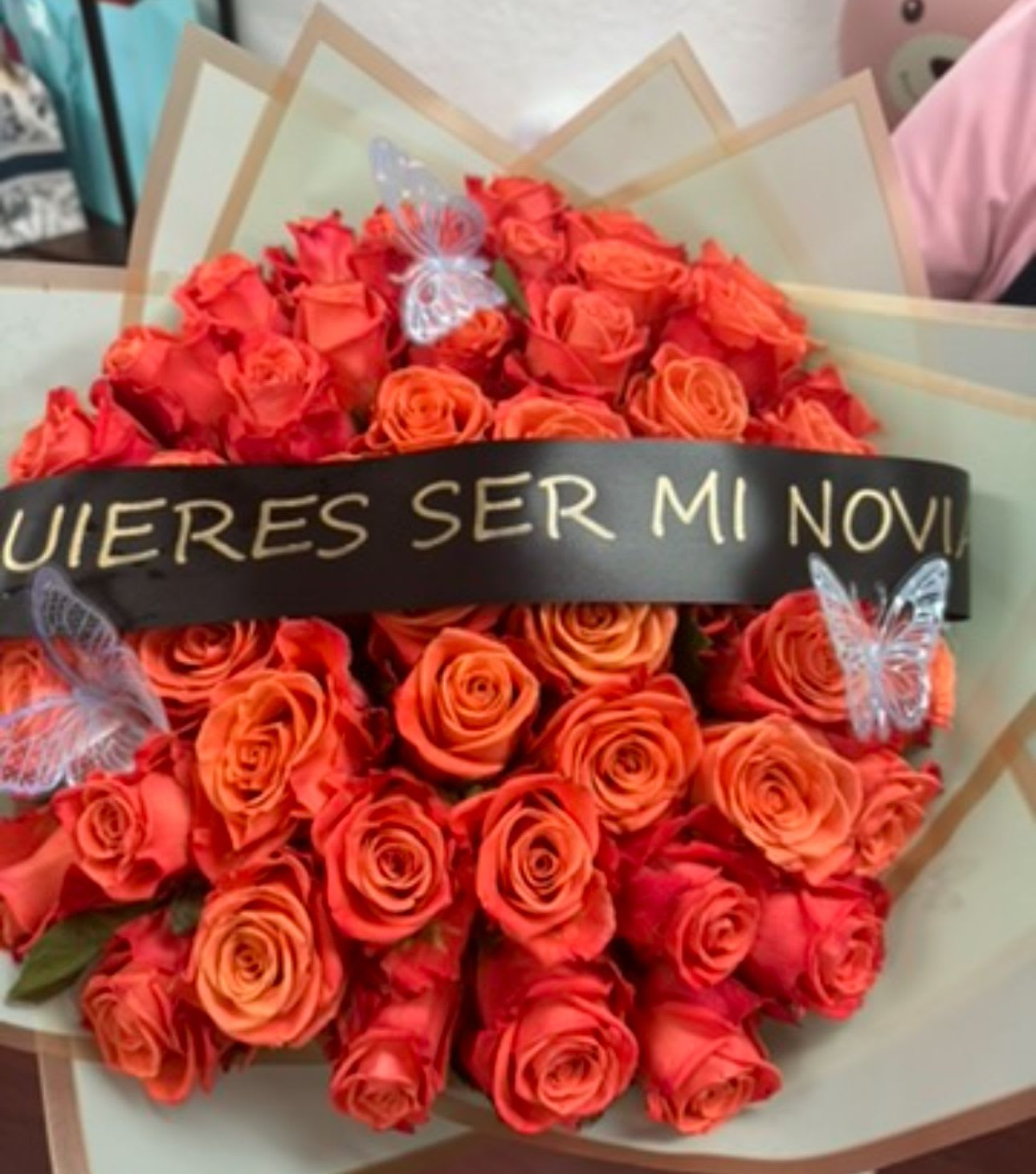 Orange wrap of roses  - 12 / 24 and 50 roses 