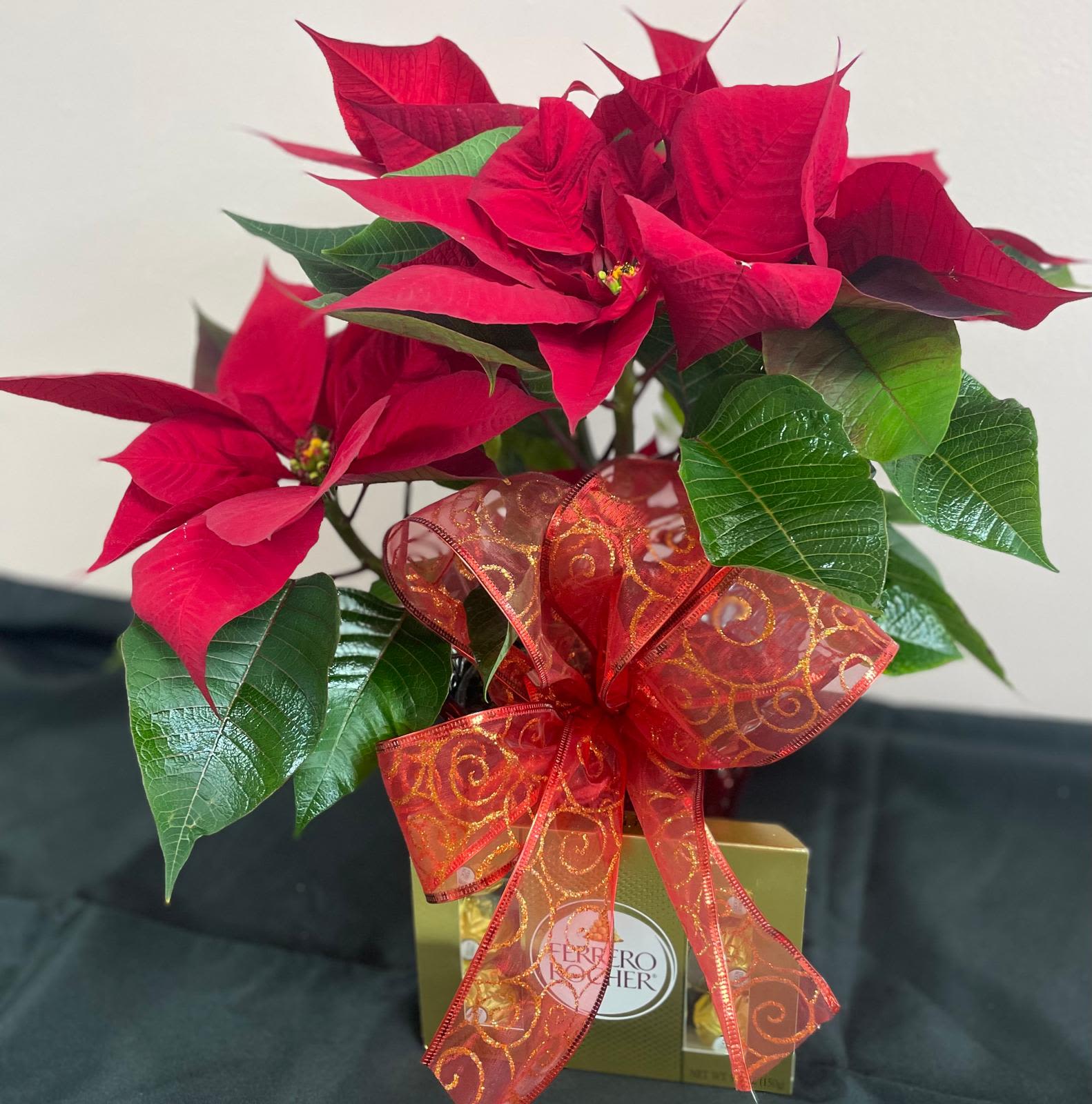 poinsettia (median) and chocolate - Poinsettia plant decorated and accompanied by a box of Ferrero chocolates