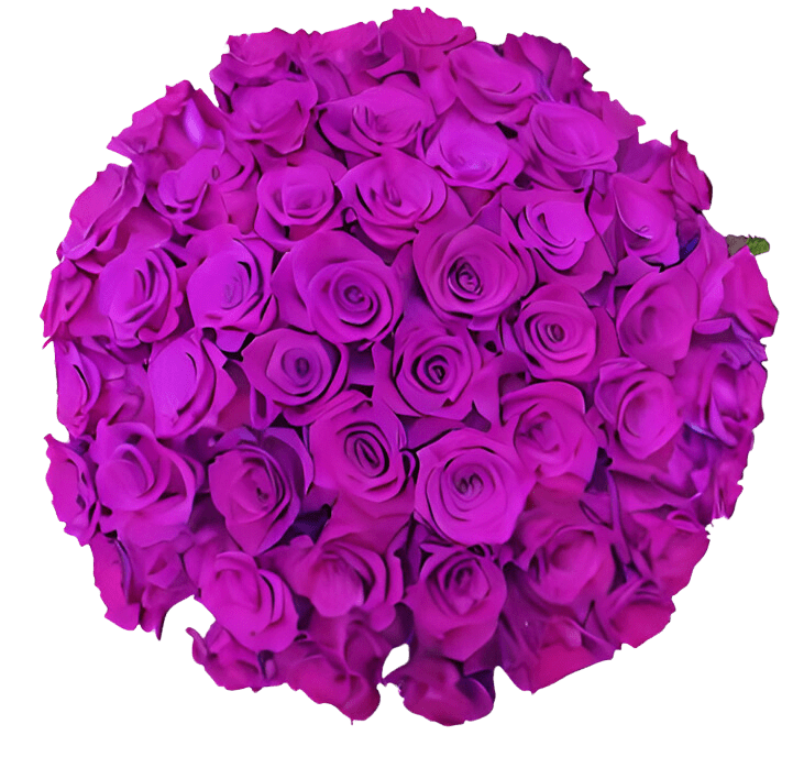 The Luxe Romance - 50 Long-Stem Purple Roses by Donya's Florals - The Luxe Romance - 50 long-stem purple roses, enhanced greenery (eucalyptus, fern), luxury glass vase, includes floral preservative &amp; greeting card.  SHADE OF PURPLE VARIES.