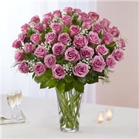 5 Dozen Elegance Long Stem Lavander Roses  - Lavender Roses 