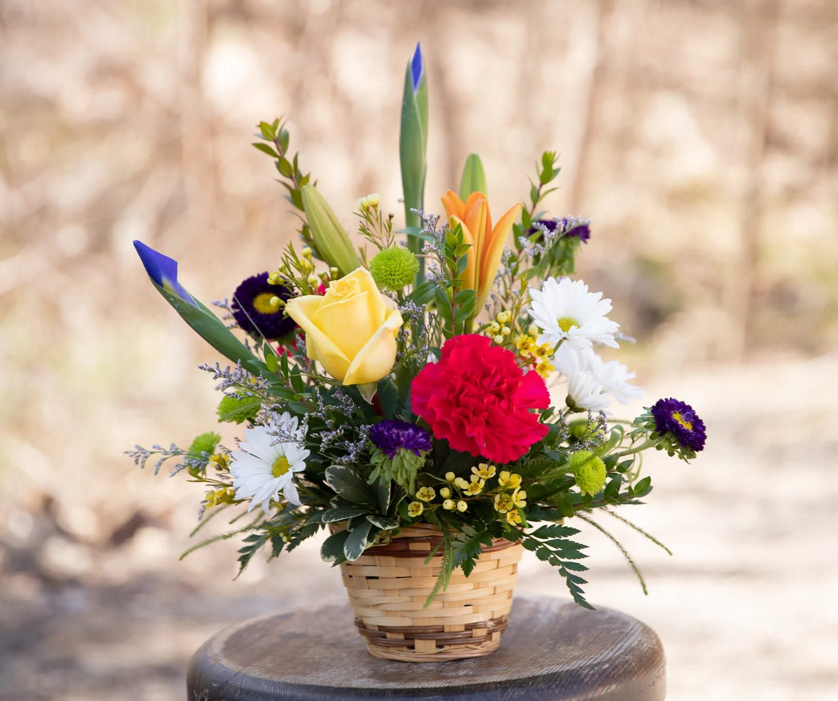 Gratitude Basket - Basket of blooms for a special thank you. Great to send to the office for a special secretary, administer or other office professional. Also a wonderful thank you gift for any occasion. Bright colorful flowers bring cheer. Hot pinks, yellows, purple and orange create an eye catching floral design. The bold colors make it appropriate for a birthday celebration as well.