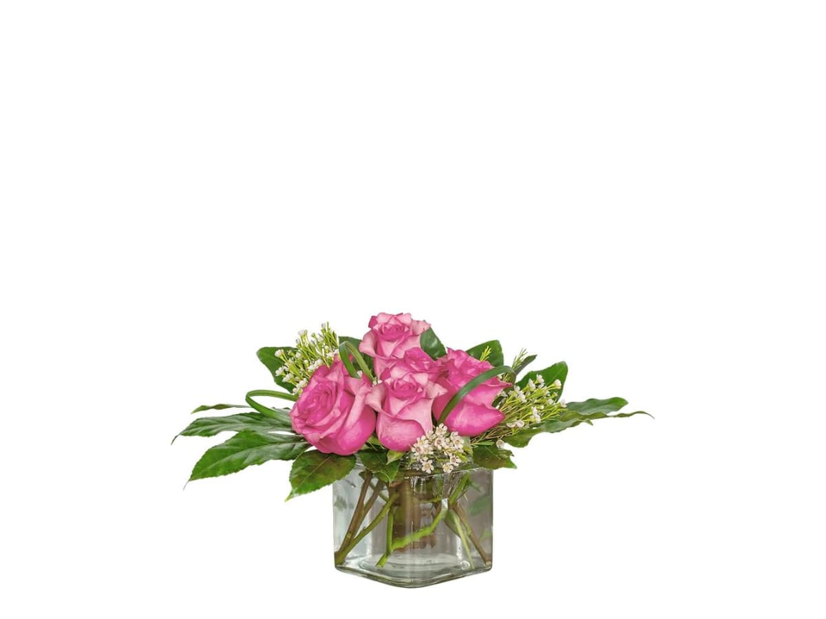 Passionate Pink - Sleek and stylish. Passionate Pink sends a special message of affection. Flowers like hot pink roses are tastefully arranged in this cube will accent any space. Approximately 12"W X 9.5"H  Container may vary based upon availability.
