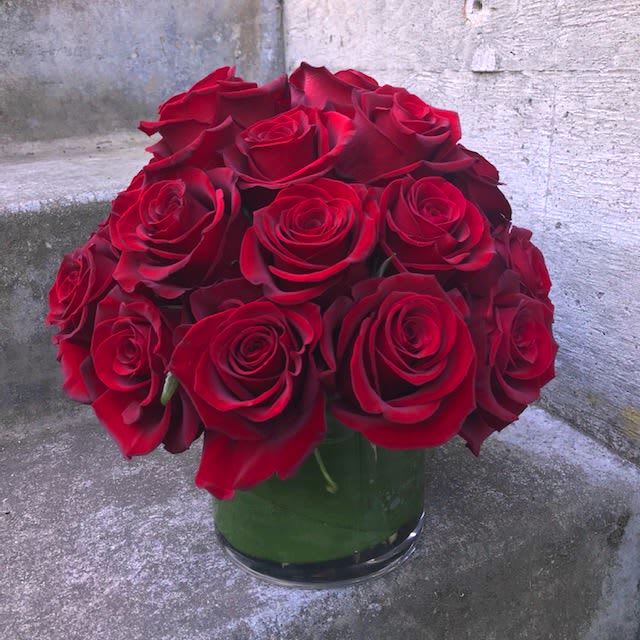 Two Dozen Classic Red Roses - Make a bold statement with this beautifully simple design. It is all about the blooms, free of any filler or greenery, so that the focus is all on the roses.   Order the Premium version to upgrade to three dozen red roses. Also available to order online with one and three dozen roses. For other colors, please order our 'Classic White Roses' or 'Classic Roses' arrangements.  Two dozen red roses in a glass cylinder vase with a leaf wrap inside to hide the stems.   APPROXIMATE DIMENSIONS:  Standard - 10 inches high by 10 inches wide Premium - 10 inches high by 11 inches wide. Also available - One dozen red roses, 9 inches high by 9 inches wide