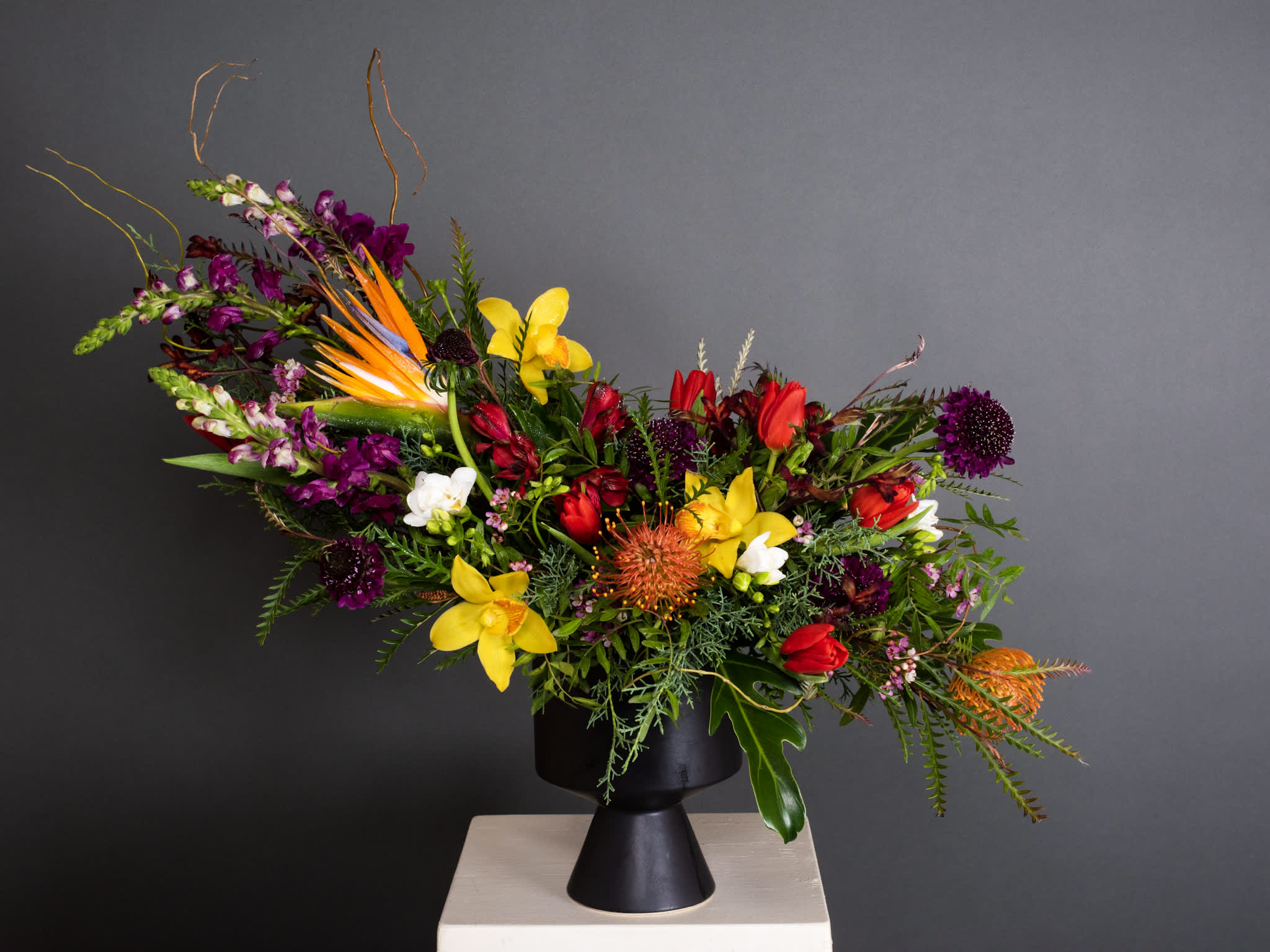 Graffiti - Ceramic Pot Arrangement - A vibrant and colorful arrangement inspired by the bold graffiti art of Lisbon, Portugal. Featuring striking pin cushions, tulips, and birds of paradise, accented with wax flowers and lush greenery, this design captures the city’s creative energy. Arranged in a sleek black De Vil ceramic pot, it’s a modern celebration of art and nature.  Pot size : 6.5in X 9.25in