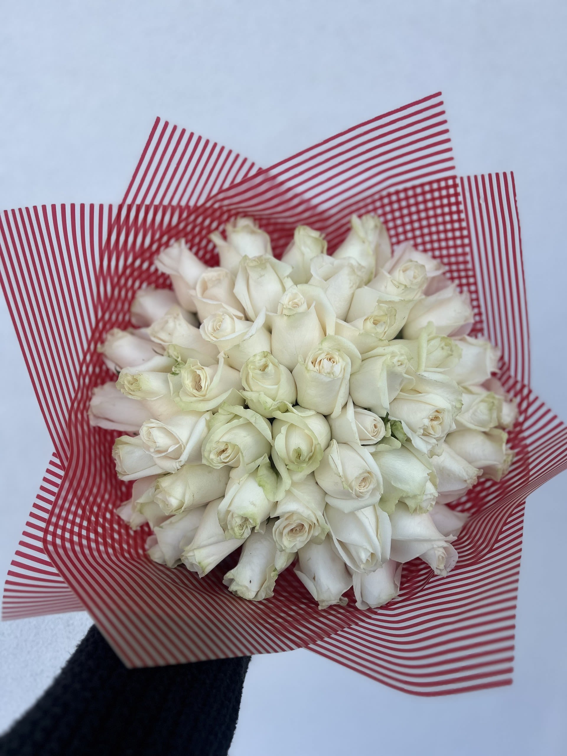 White Ramo Buchon - Beautiful Ramo Buchon in white of 50 roses! If you'd like a specific color of paper please add to the notes what color you'd like! (Does not come in vase, this is a wrapped bouquet. the stems will also be wrapped in paper with  bow on the bottom)  