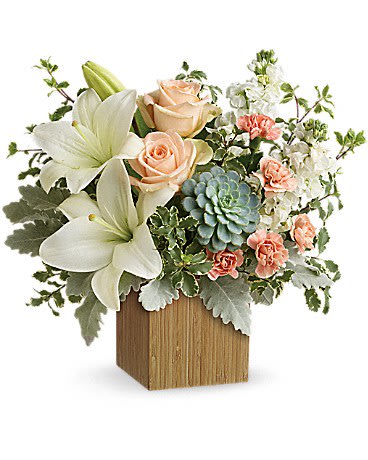 Desert Sunrise Bouquet - Peaceful yet energizing, this unforgettable arrangement of desert-hued blooms and succulents in a sleek bamboo cube is a chic gift on any special occasion. Peach roses, white asiatic lilies, peach miniature carnations, and white stock are accented with pitta negra, dusty miller, and a green echeveria succulent. Delivered in a Small Natural Bamboo Cube.  Orientation: One-Sided
