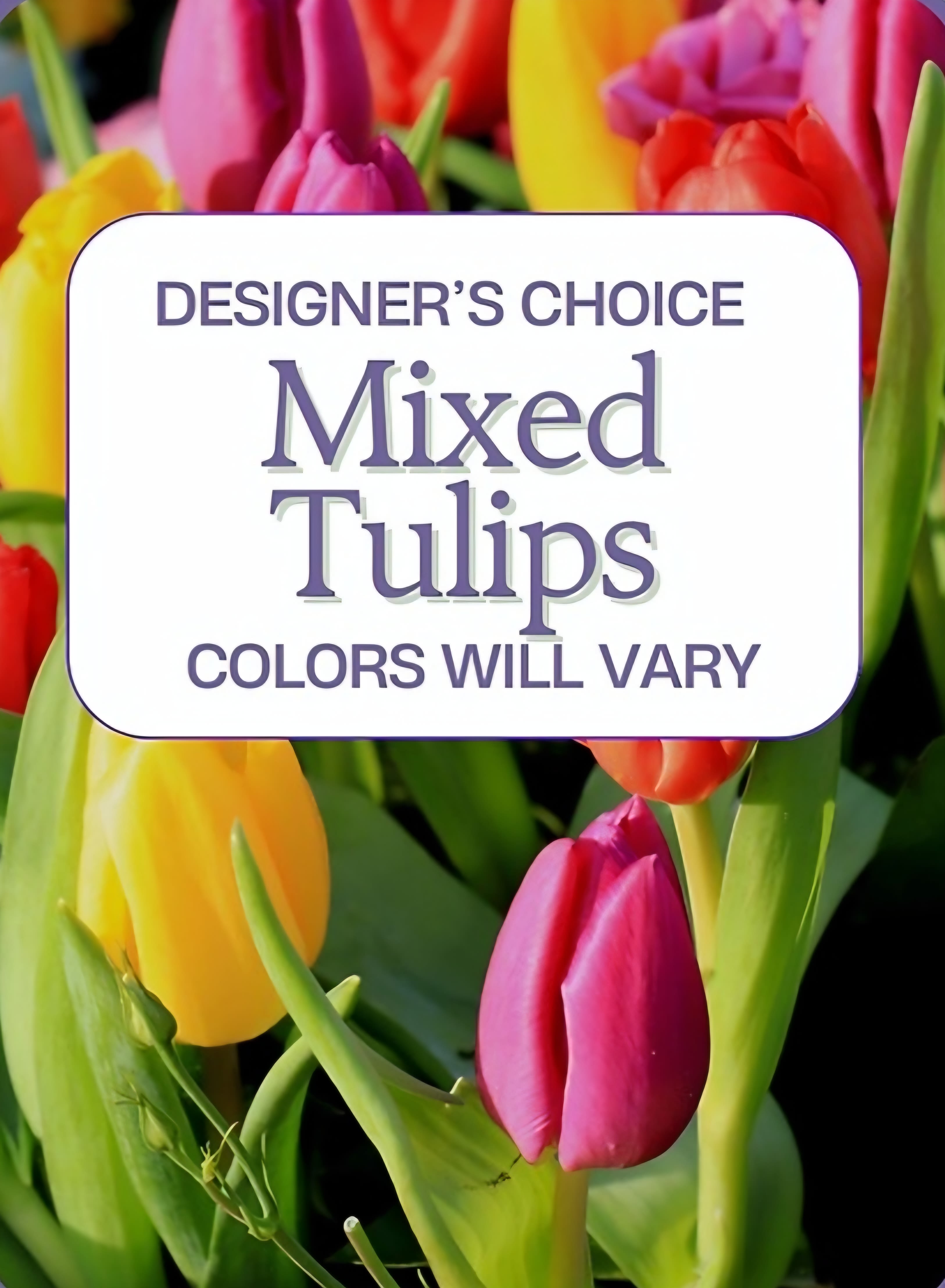 Designer's Choice Tulip mix - A Designer’s Choice Tulip Mix features a fresh assortment of seasonal tulips, hand-selected by our florist. Colors may vary based on availability, creating a vibrant and unique arrangement each time