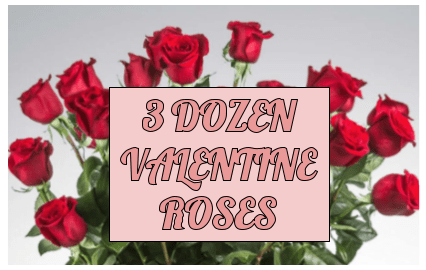 3 Dozen Red Roses for a Valentine - Three Dozen Red!