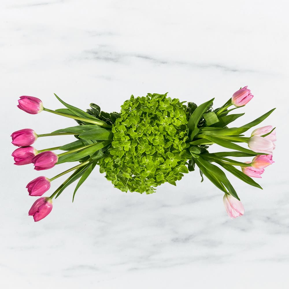 Simply Spring by BloomNation™ - Simply Spring by BloomNation™ is the perfect gift for the Spring or for Mother's Day.   Arrangement Details:  Includes hot pink tulips, blush pink tulips, and green hydrangea.  APPROXIMATE DIMENSIONS: 16" H X 7" L X 16" W