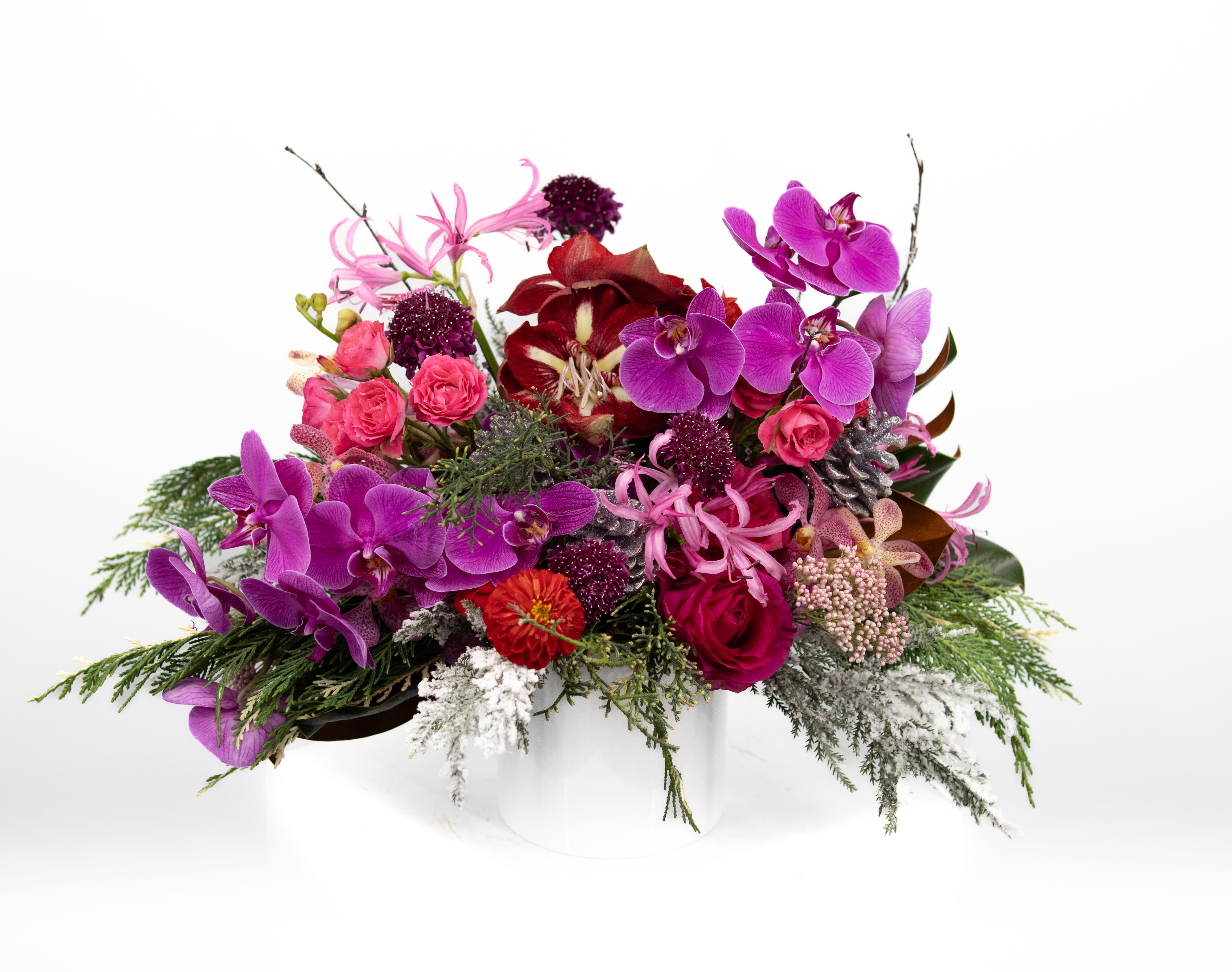 Alex - A captivating holiday arrangement that weaves together the luxurious hues of deep purple orchids, rich red Amaryllis, and lush holiday greenery. The velvety petals of the purple orchids create a regal backdrop, complemented by the bold presence of Amaryllis blooms in festive red. Intertwined with seasonal greenery, this arrangement emanates a sense of opulence and sophistication, making it a perfect centerpiece for a holiday celebration. The jewel-toned colors evoke a sense of warmth and glamour, adding a touch of magic to the festive atmosphere.