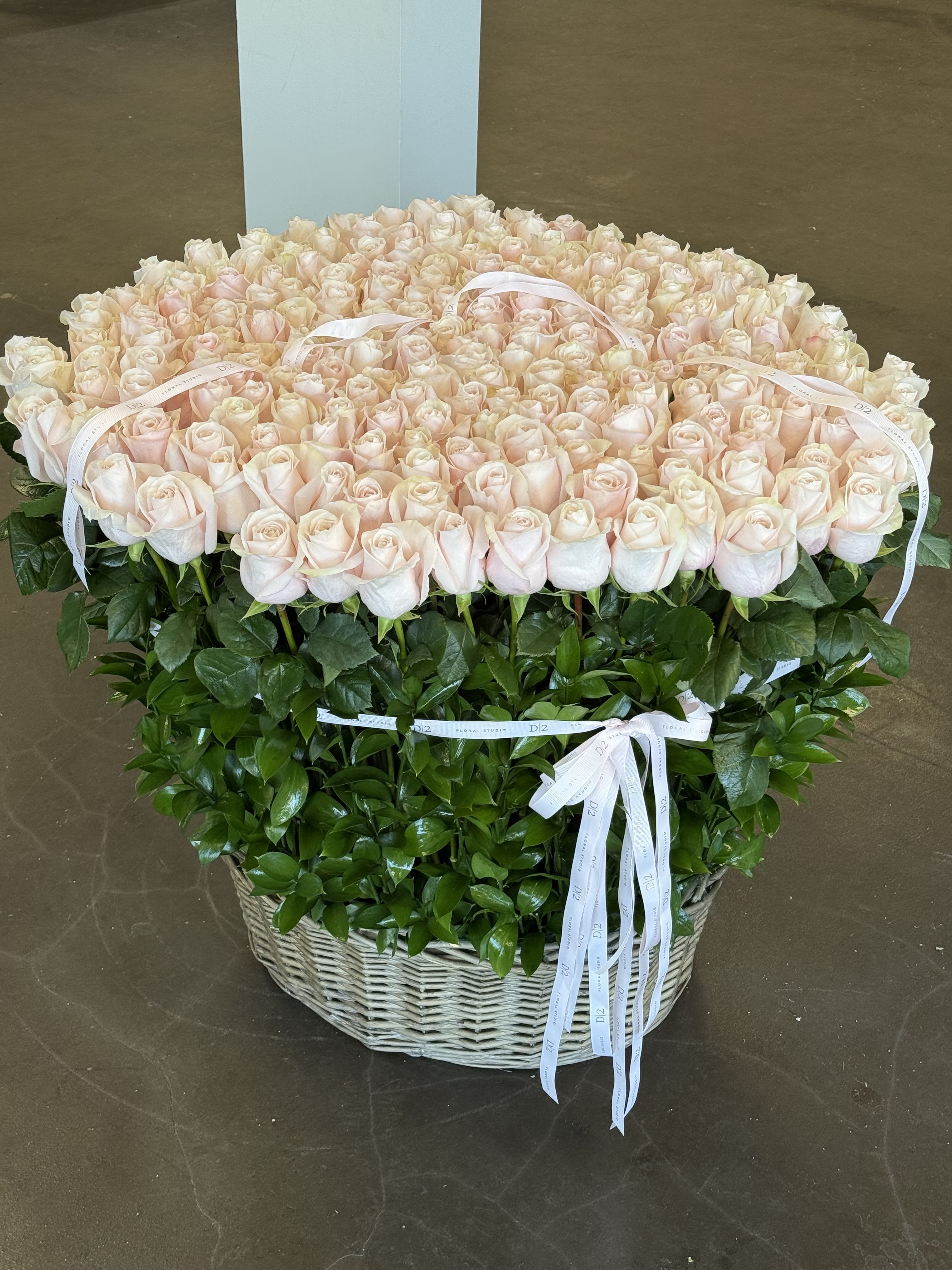 Lola - A luxurious floral arrangement featuring hundreds of soft blush roses arranged in a perfect dome, nestled atop lush greenery in a woven wicker basket. Finished with elegant white D|2 ribbons, this grand piece is ideal for romantic surprises, elegant celebrations, or high-end gifting.