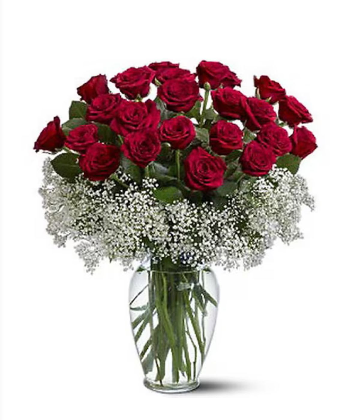 Field of Roses 2 Dozen Long Stems - Twenty-four stunning roses with elegant filler, arranged in a striking clear glass vase. Approximately 25" W x 29" H.