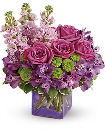 Sweet Sachet Bouquet - Sweet as can be! Hand-delivered in a chic lavender cube, this marvelous mix of jewel toned blooms is a touching way to celebrate someone special on their birthday or any day. Lavender roses, purple alstroemeria, light pink stock and green button spray chrysanthemums are accented with variegated pittosporum. Delivered in a lavender cube vase. 
