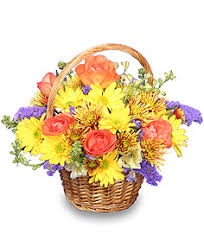 Basket of cheer - yellow daisies, orange roses, purple statice