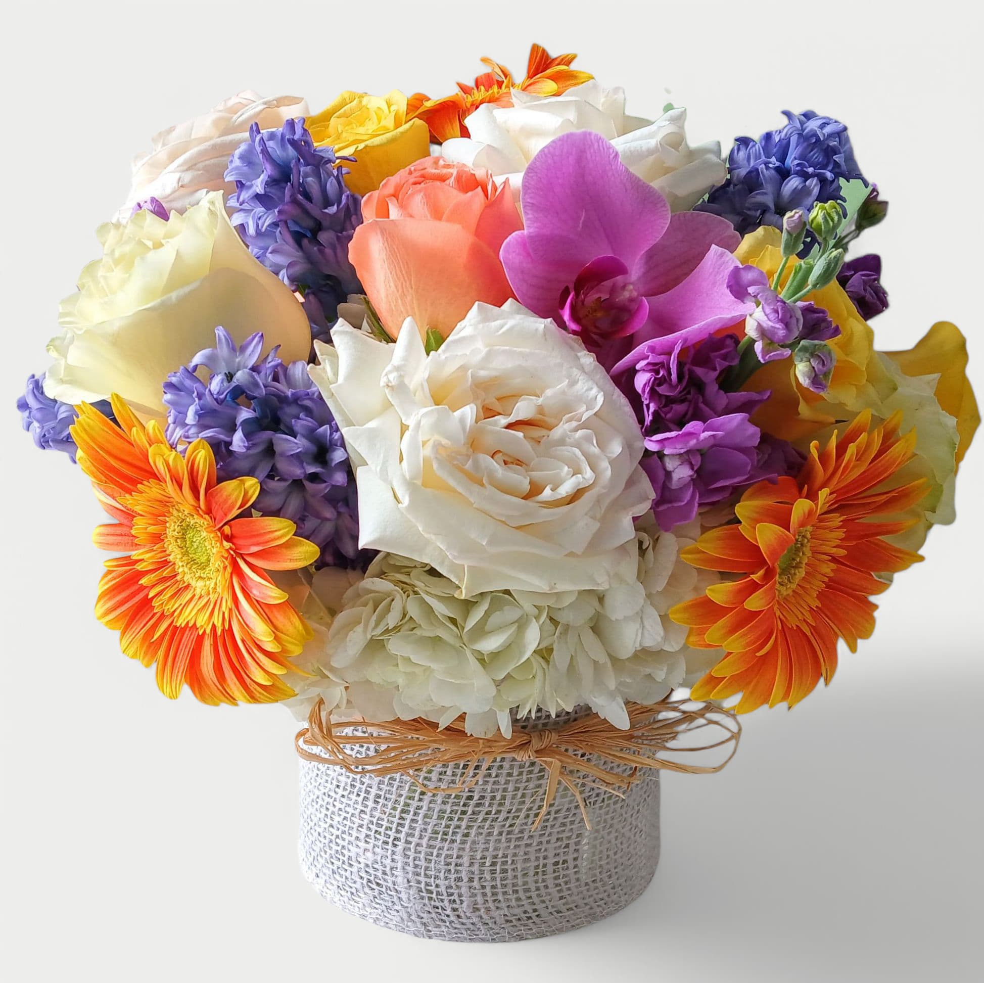 Birthday Blooms For Cherry Hill NJ Rose Beauty - Perfect for every occasion. Send them this beauty today to show them how much you care with it's mixed cheerful vibrant blossoms of that day roses orchids and more arranged in a modern glass cube vase wrapped in white jute ribbon. All fresh flower bouquets that leave my flower studio are works of art. Please visit my beautiful gallery to see my latest designs that I have created for my online customers. Send them happiness. Send them a special bouquet to make them smile today. 