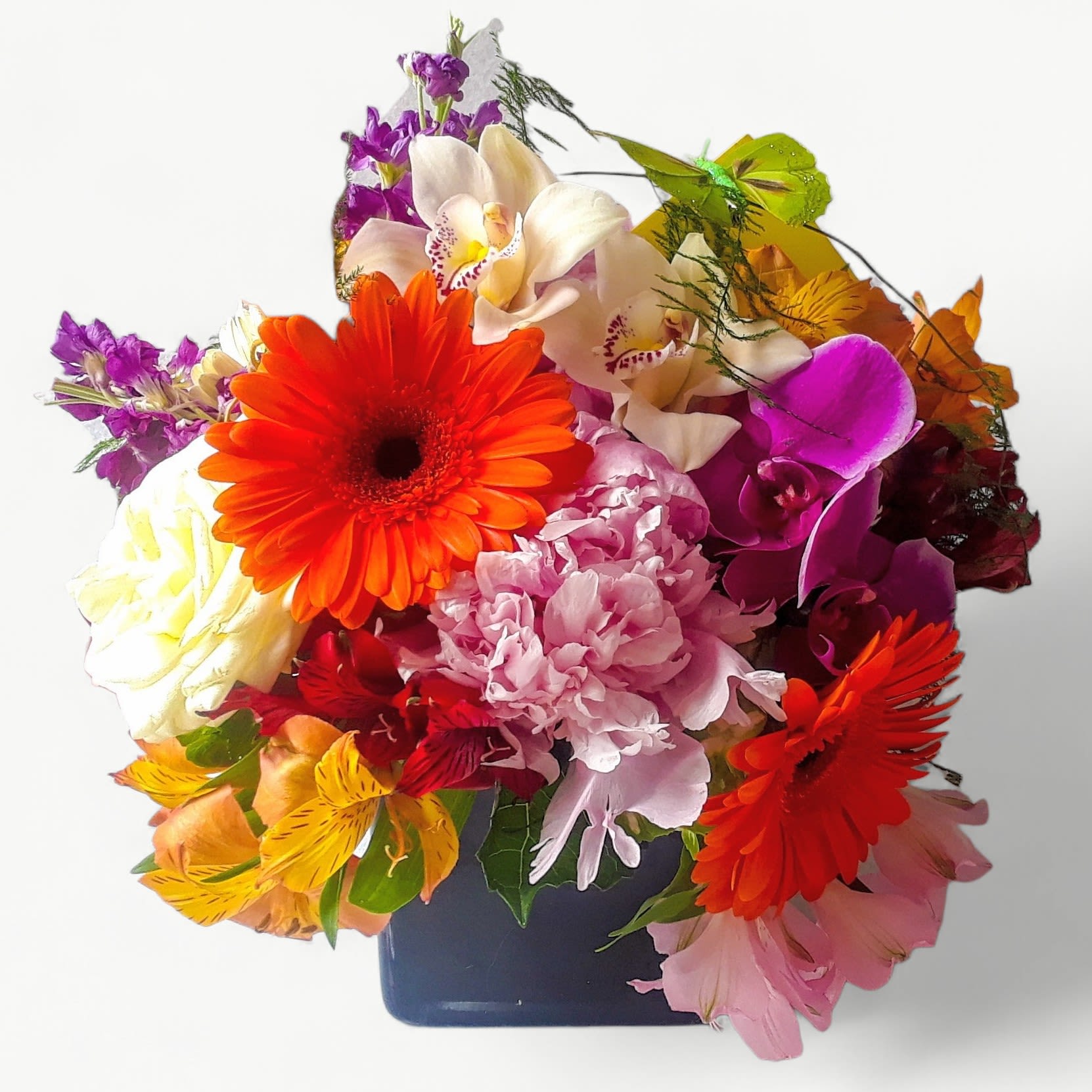 Vibrant Blossom Beauty Designer's Choice - Vibrant blossoms of that day roses orchids and more arranged in a black modern glass vase. Beautiful and perfect to send for every occasion to show them how much you care. All bouquets are always made extra special and unique each and every time. Send happiness.