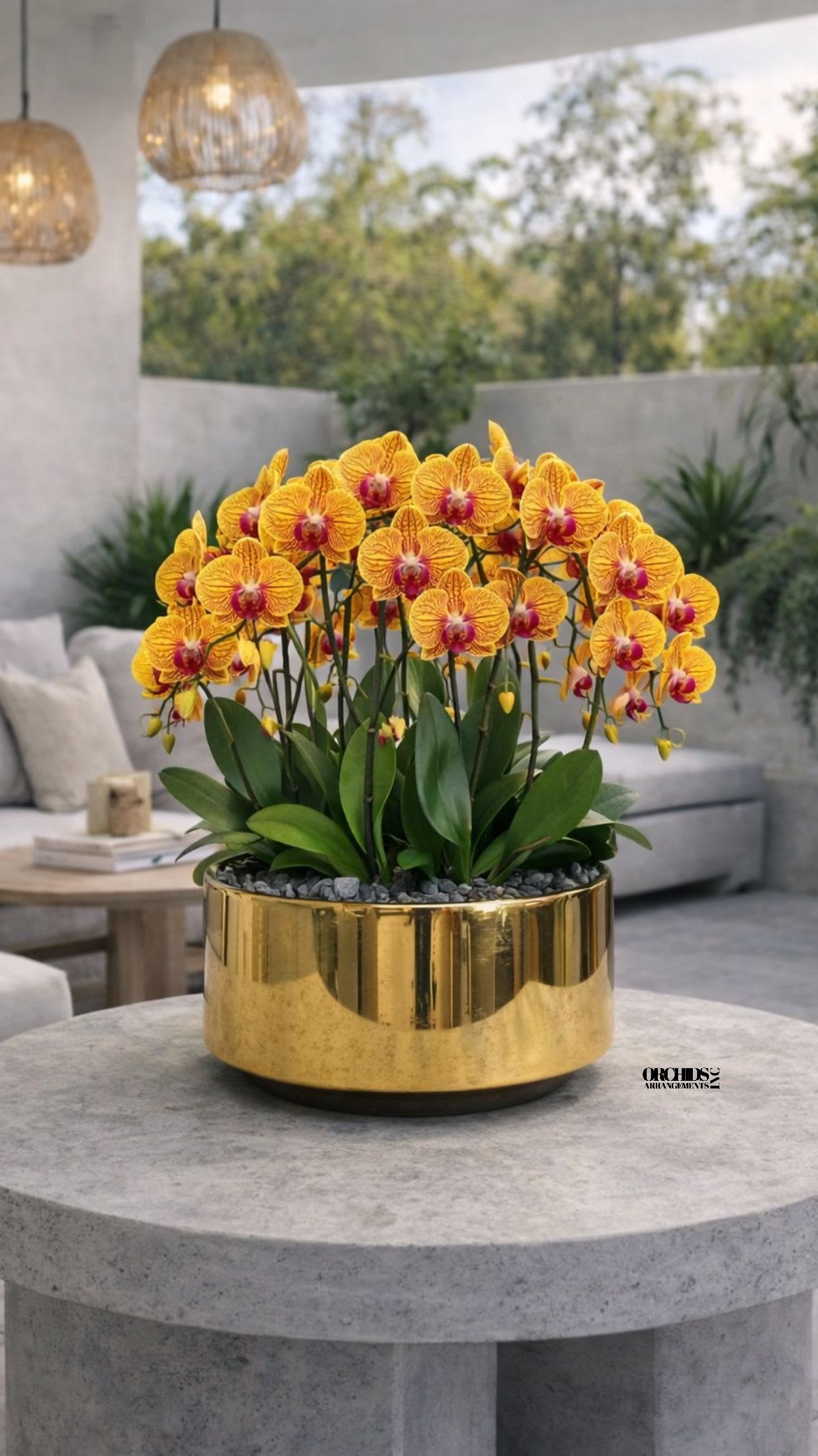 Peach Flower Same Day - A high quality Six peach orchids arrangement with a vase 12" D X 5" T. An orchids arrangement deliver for any occasion design with fresh natural real beautiful Phalaenopsis cascade orchids plants minimalist decor.