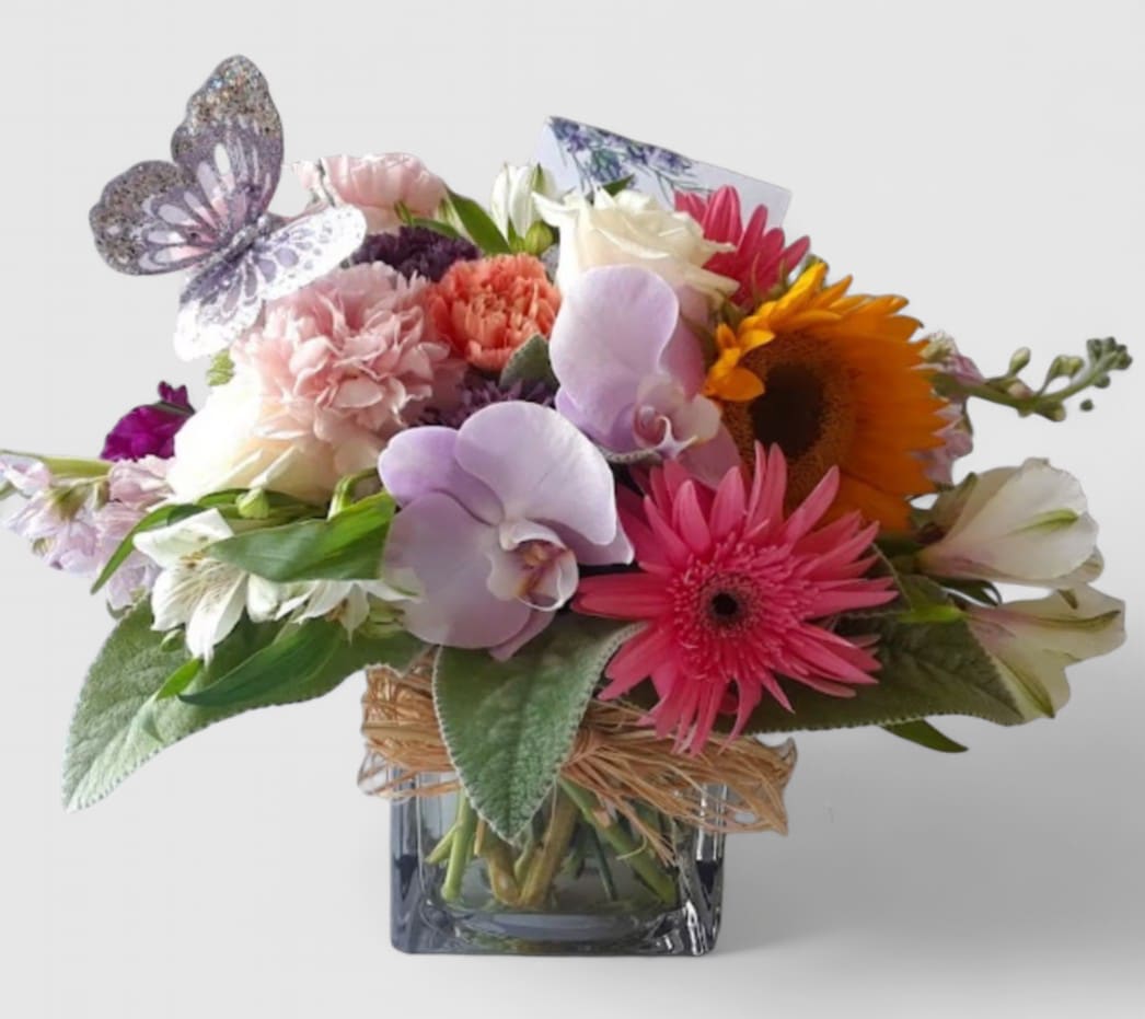Butterfly Beauty Designer's Choice - Roses orchid and more arranged in a modern clear glass cube style vase adorned with a cheerful butterfly. Perfect to send for every occasion t show them how much you care. All of my bouquets are always made extra special and unique each time. Send happiness.