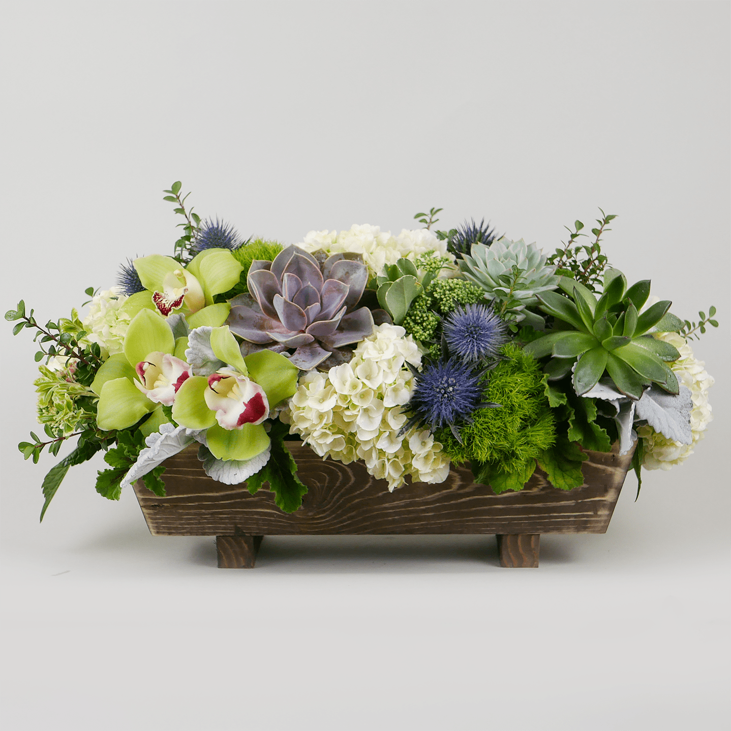 Succulent Garden - This elegant arrangement features a modern collection of succulents, cymbidium orchids, hydrangeas, thistle and more in a long wooden container. Arrangement is in water, not planted.