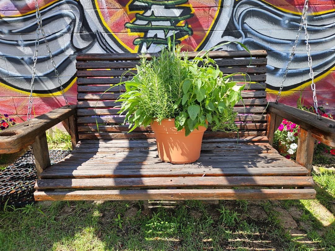 Mixed Herb Terracotta  - Locally grown herbs and blooming plants replanted in organic soil. These herbs are hand selected  herbs are replanted in a terracotta colored pot. Great for patio or any outdoor space. A wonderful selection for the hands on person in your life. It makes cooking with wonderful accents a breeze! Herbs and blooming plants will vary upon what is available/ in season. Some may have only herbs and some may have a beautiful blooming plant to accentuate the herbs.