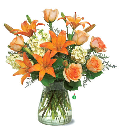 Chino's Peach Glow - What’s pretty in peach? This rich mix of orange lilies, peach roses and lovely blossoms, simply arranged in a clear glass vase, will create a warm glow in any setting. A charming bouquet for anyone who loves flowers.