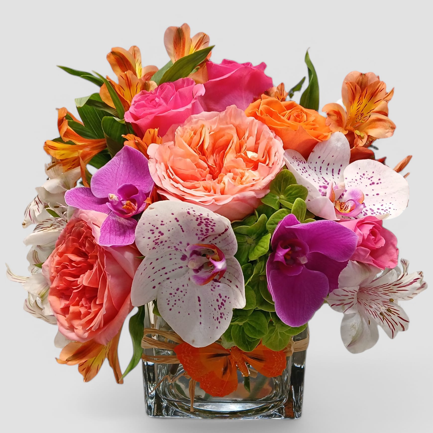 The Beautiful One Happy Birthday - Send this cheerful bright bouquet today to make their birthday special with it's lovely mixed blossoms roses orchids and more arranged in a modern clear glass cube style vase adorned with a sweet peach cheerful butterfly. Send happiness.