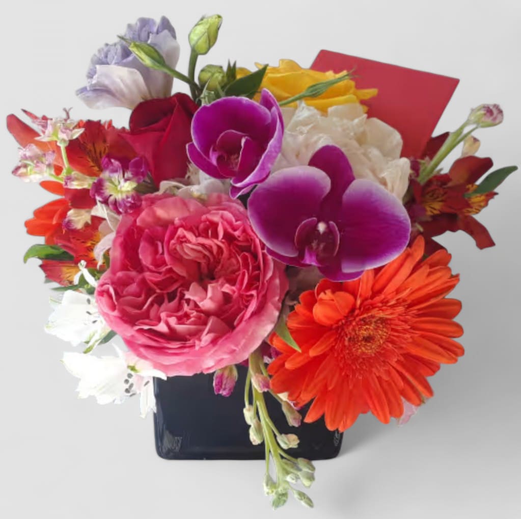 Vibrant Beauty Designer's Choice - Send this vibrant colored blossom beauty today to make them smile with it's lovely mixed vibrant blossoms of that day roses orchids and so much more arranged in a black modern glass vase. Send happiness. 