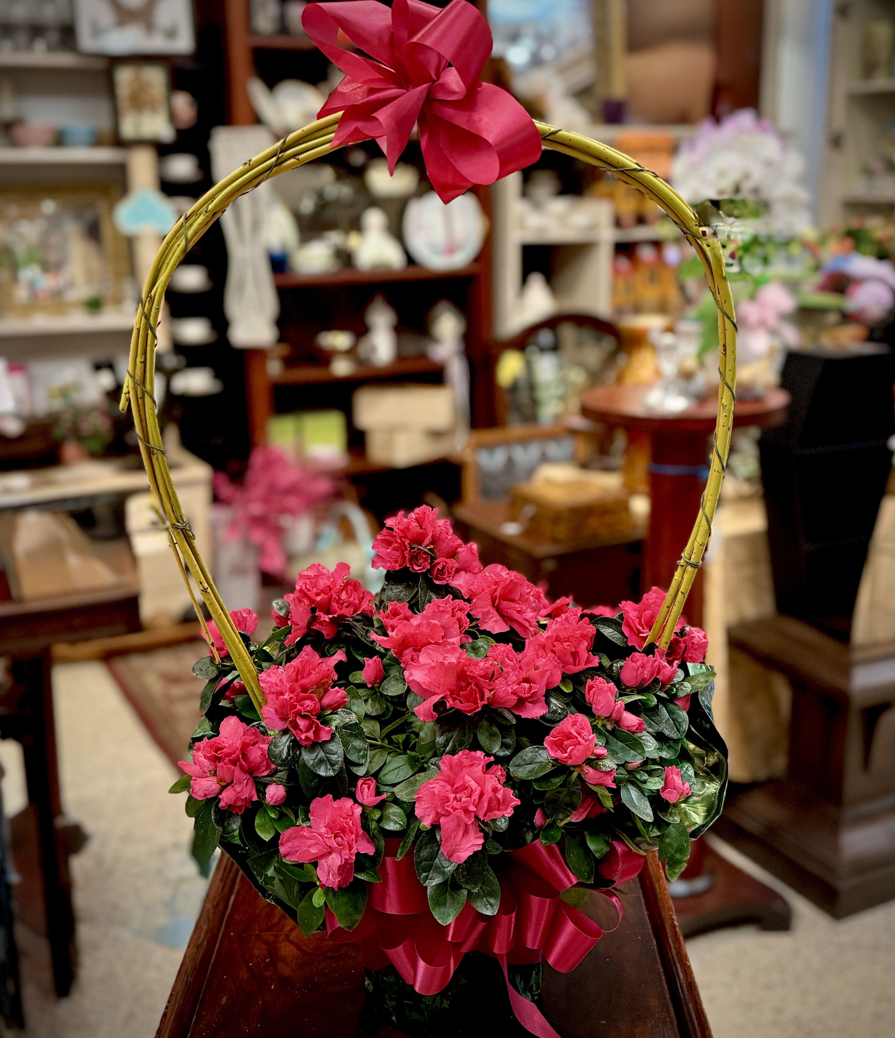 Azalea Plant Dark Pink (Indoor Plant 1 available) - This adorable indoor azalea plant is GORGEOUS!  A faux handle with heart trim to dress it up. What a wonderful gift! Planted in a 6" pot decorated with foil. Approximately 24" H.  We are proud to deliver our flower creations to the Kenosha, Somers, and Pleasant Prairie areas. With over 55 years of combined flower design experience in Kenosha, Wisconsin, A Summer's Garden Florist and Gifts is the perfect choice for the freshest flowers, most creative design, and exceptional customer service.