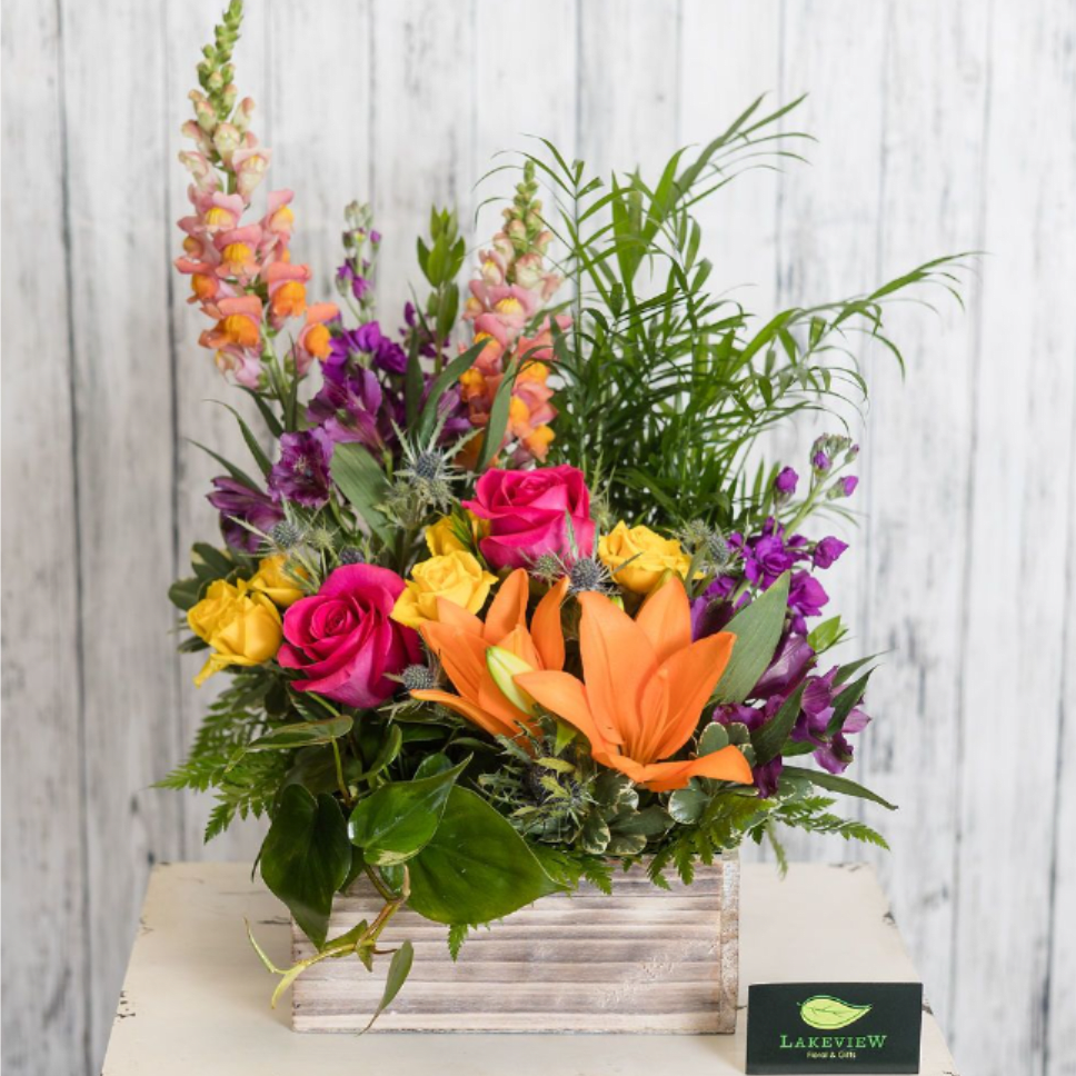 Anew - A unique mix of potted green plants and a fresh arrangement all in one! Perfect for celebrating the life of a loved one. The plants can be enjoyed for years to come; while the arrangement adds a lovely pop of color for the event.  Approx. Size: 21" Tall by 15" Wide