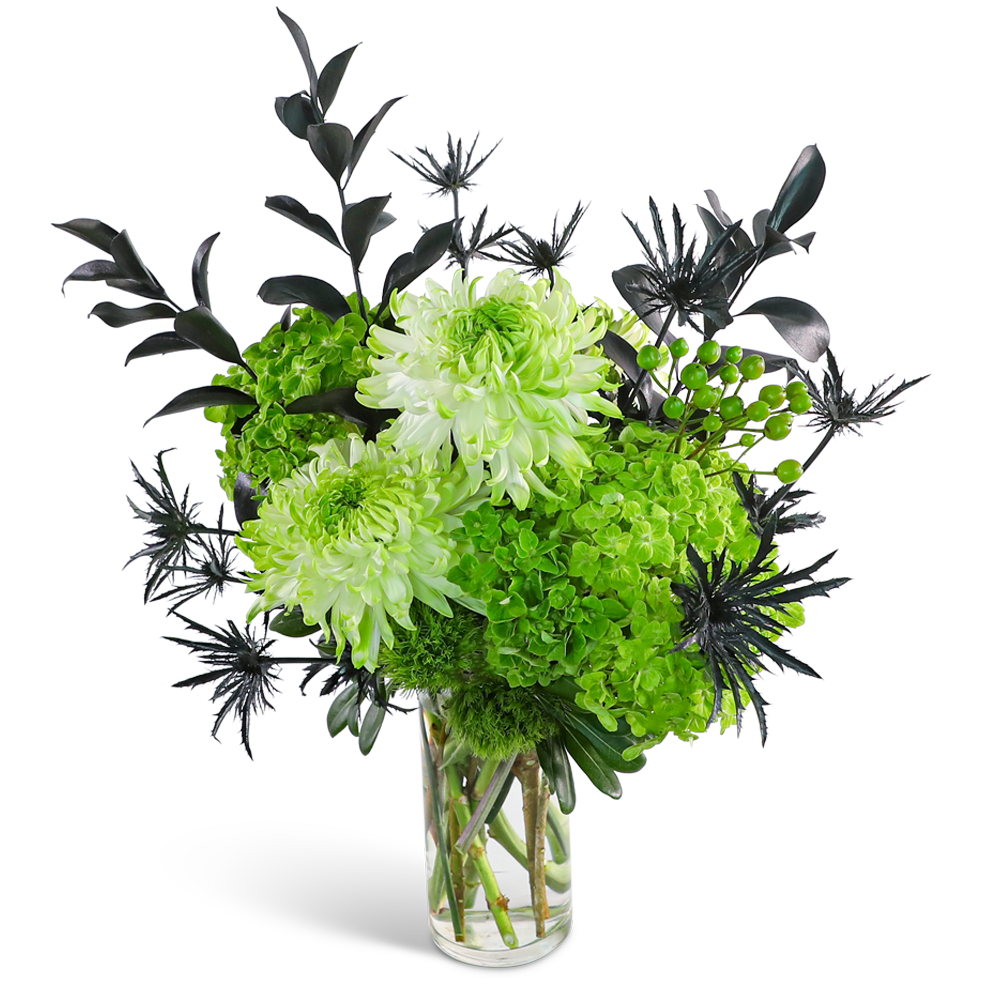 Emerald City - Emerald City features a striking blend of Cremons, Hydrangea, Hypericum berries, Eryngium, and deep, dramatic foliage for a bold, eye-catching effect. With its rich greens and moody textures, this design is perfect for anyone who loves a touch of mystery and modern elegance. We offer local flower delivery to bring this captivating arrangement right to your doorstep.