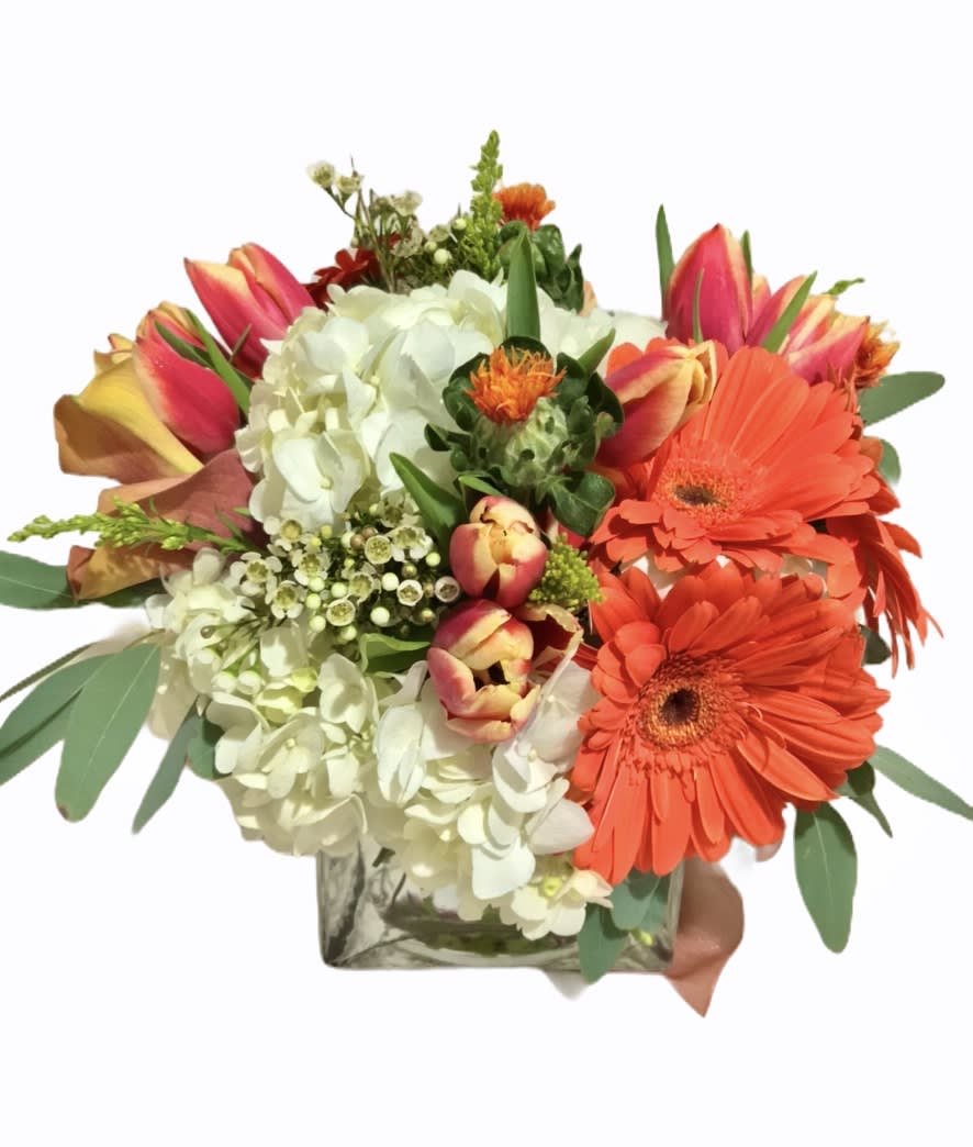Sunset Harvest  - A vivid arrangement of hydrangea, gerbera daisies, tulips, and seasonal accents.