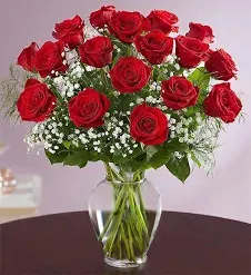 18 Long Stem Roses - 18 Long Stem Red Roses arranged in Vase with greenery and babies breath