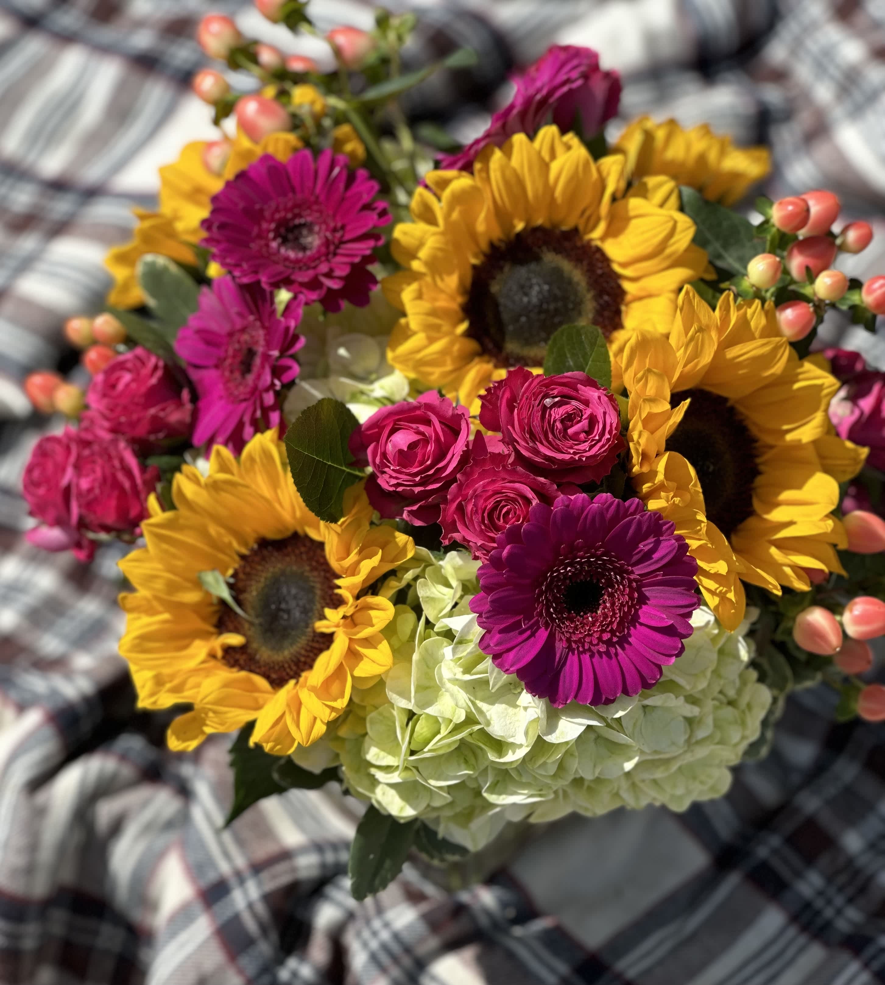 Sunflower Charm - cylinder vase filled with sunflowers. orange gerbera daisys, hot pink roses and green hydrangea with a swirl of aspidistra