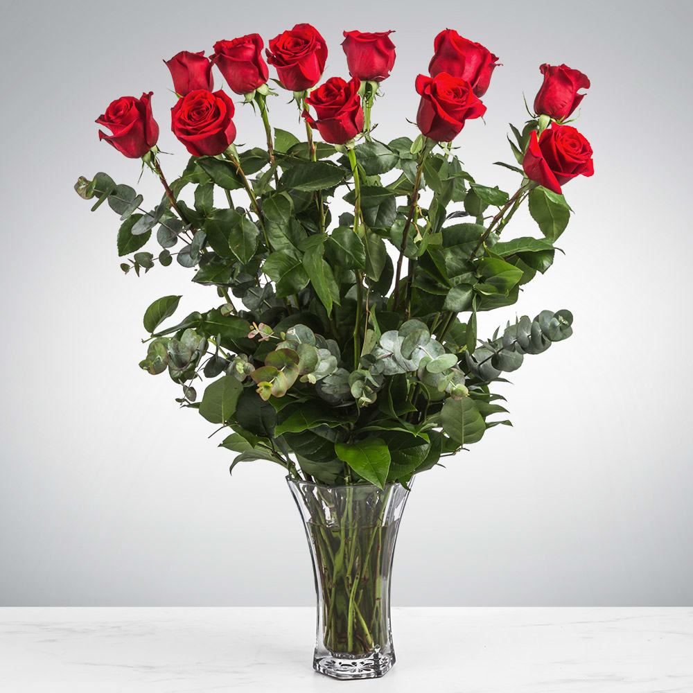 Dozen Long Stemmed Red Roses by BloomNation™ - These dozen red roses are the classic romantic gift! Perfect for Valentine's Day or an Anniversary.   APPROXIMATE DIMENSIONS: 25" H X 18" W