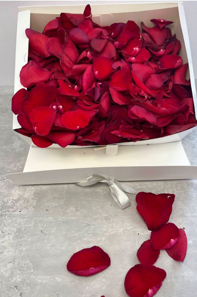 Natural Red Petals - Natural petals. It's enough to recreate something like the photo.  Use them to celebrate anniversaries, Valentine's Day and proposals, or put them in the bathtub. Comes in a box with a lid. ***Balloons and chocolates are sold separately and the rest is not included*** Box dimensions 12 x 9 x 4''