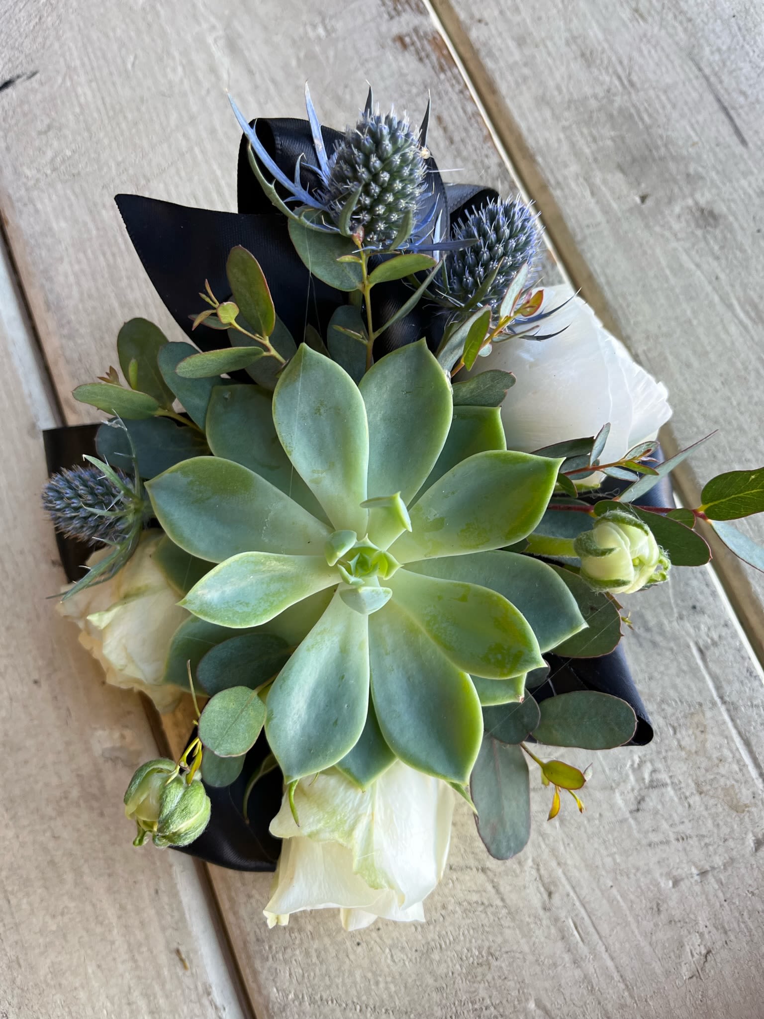 Wrist Corsage #8 Succulent, Roses, Ranunculus - Wrist corsage with a succulent plant, white spray roses, white ranunculus, thistle with a variety of greenery and filler. Please specify ribbon color.