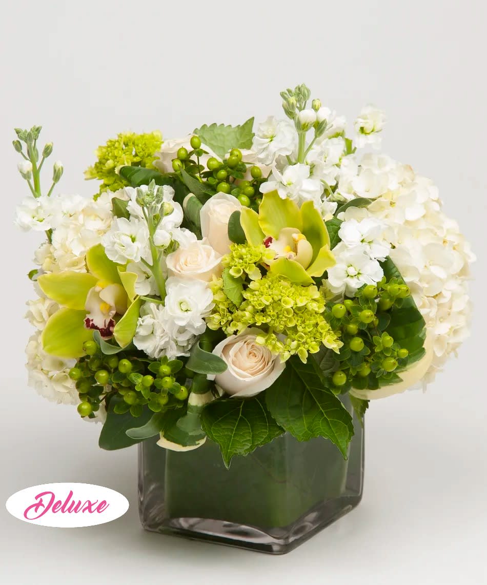 Modern Green  - This compact arrangement is a modern take on a traditional holiday arrangement. A stunning selection of Holland flowers makes for a higher end look and feel.  