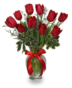 10 Red Tulips in Vase with a bow. - 10 Red tulips arranged in a vase with a bow.