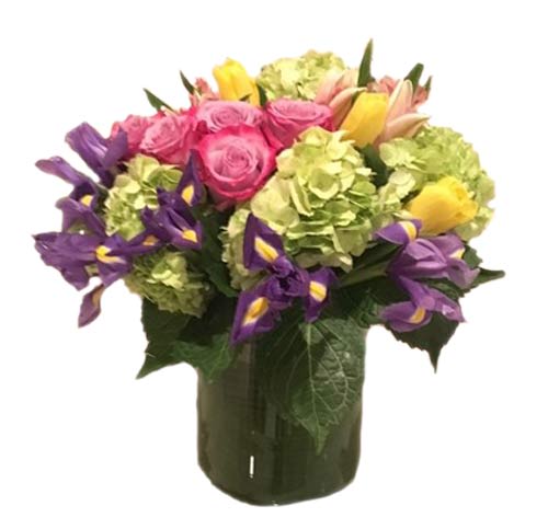 Tender Love - Mix of flowers as shown arranged in a vase. The quantity of flowers increase with Deluxe and more for Premium. 
