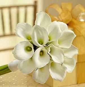 Brides Bouquet of 15 White Callas - Brides Bouquet of 15 White Callas