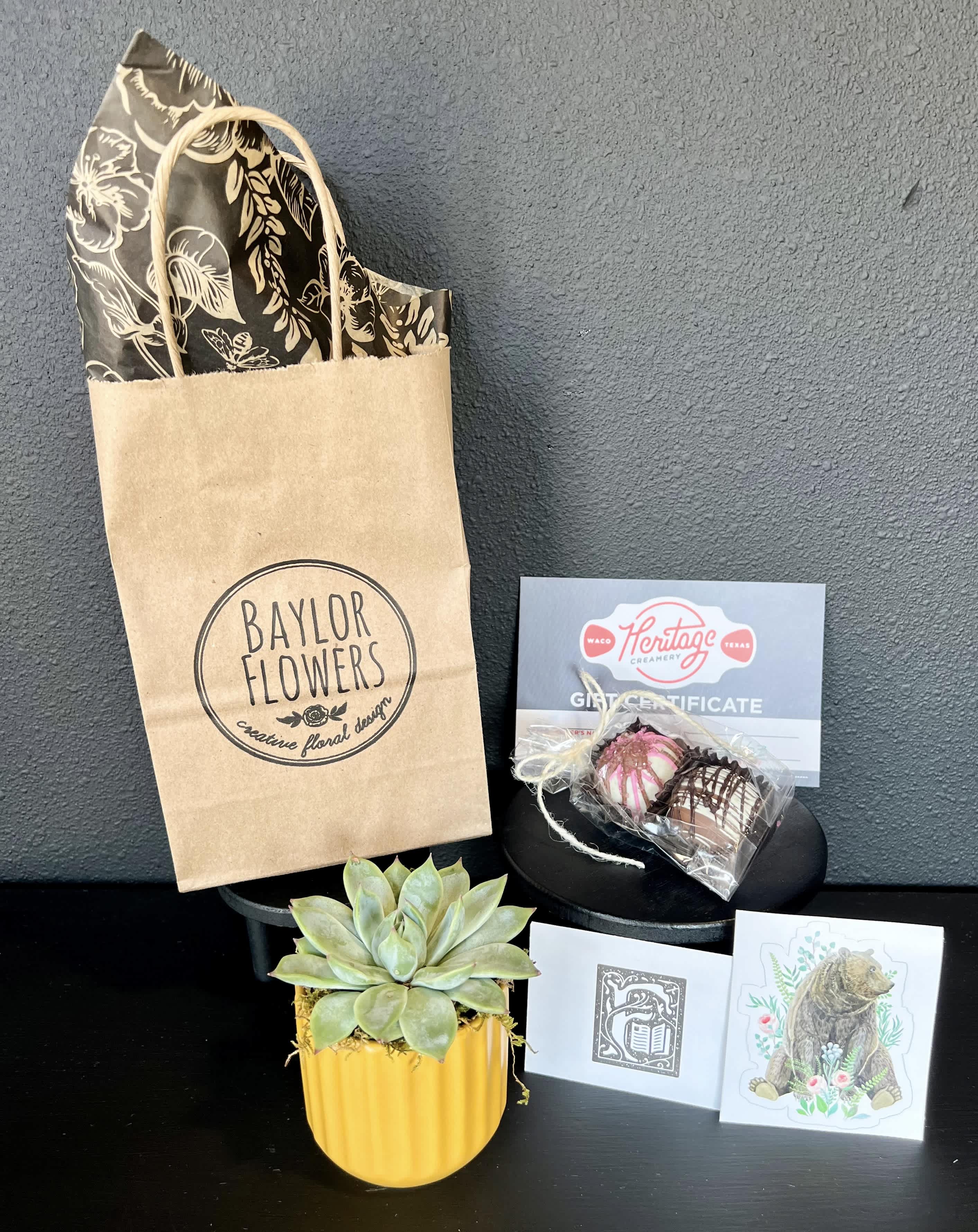 Sic the Semester Succulent  -   Succulent in a ceramic pot, $10 Fabled Bookshop &amp; Café gift card, $10 Heritage Creamery gift card, two gourmet truffles, &amp; one Baylor-themed sticker. 