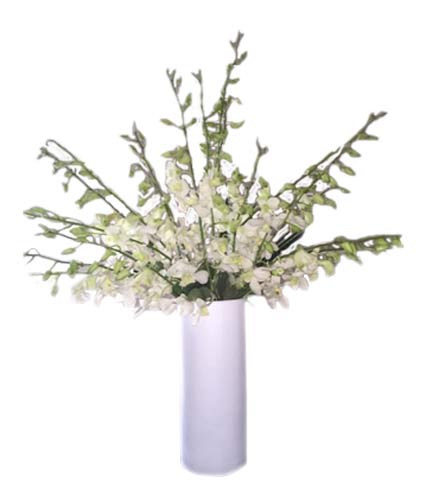 Elegantly Yours with white orchids flowers stems, arranged in a vase. Arranged in a glass square vase or cylinder vase. - 10 White Orchids flower stems arranged in a vase.  Deluxe Upgrade:15 Orchids. Premium Upgrade: 20 Orchids.  