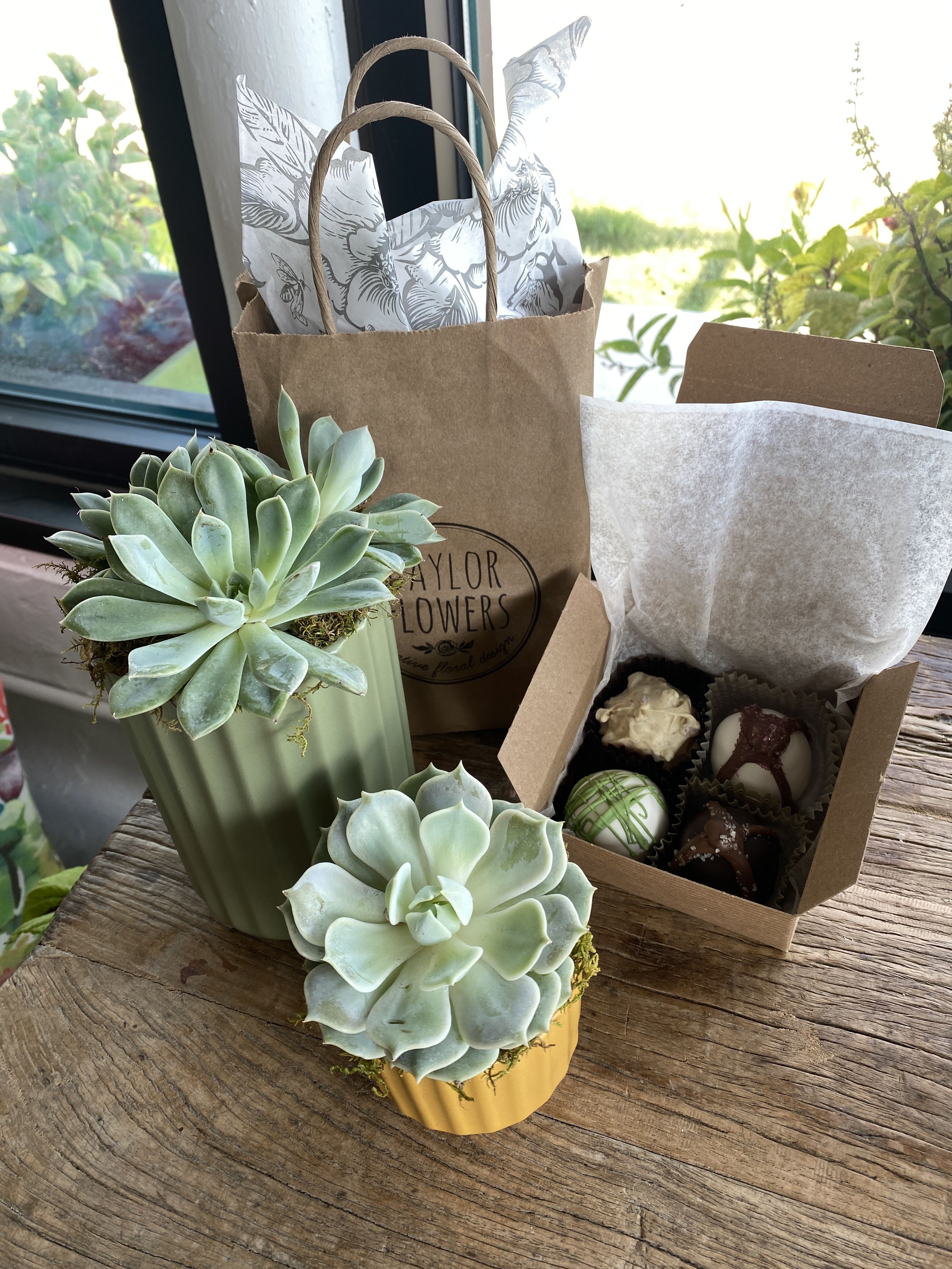 Sweet Succulents - Succulent pair in coordinating pots and 4 truffles  