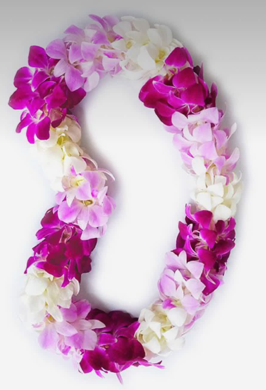 Bicolor Orchid Lei - Stunning orchid blooms dendrobium lei.